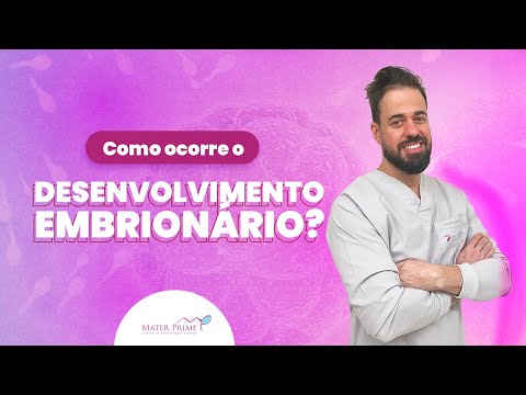 Como ocorre o desenvolvimento embrionário?