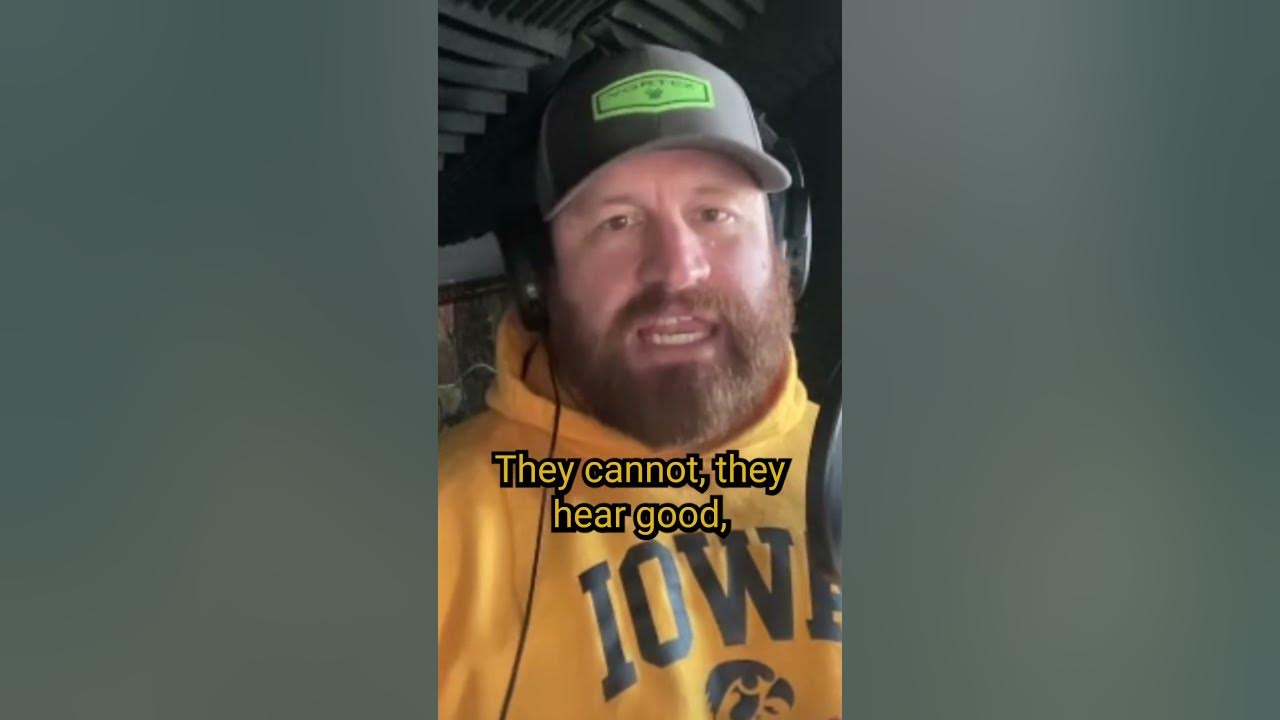 How Well Can Whitetail Deer Hear? #SHORTS - YouTube