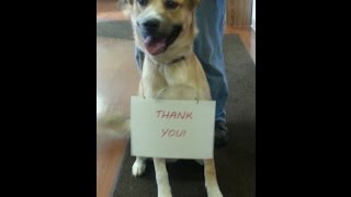 PAWS of Dearborn County says thank you 2014