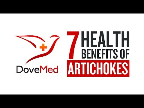 7 Health Benefits Of Artichokes