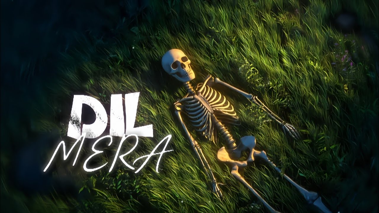 Dil Mera | Sad Lofi Song | Late Night Vibes | Official Music Video • HYY SONGS