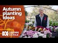Autumn planting ideas to bring out your gardens colour  garden inspiration  gardening australia