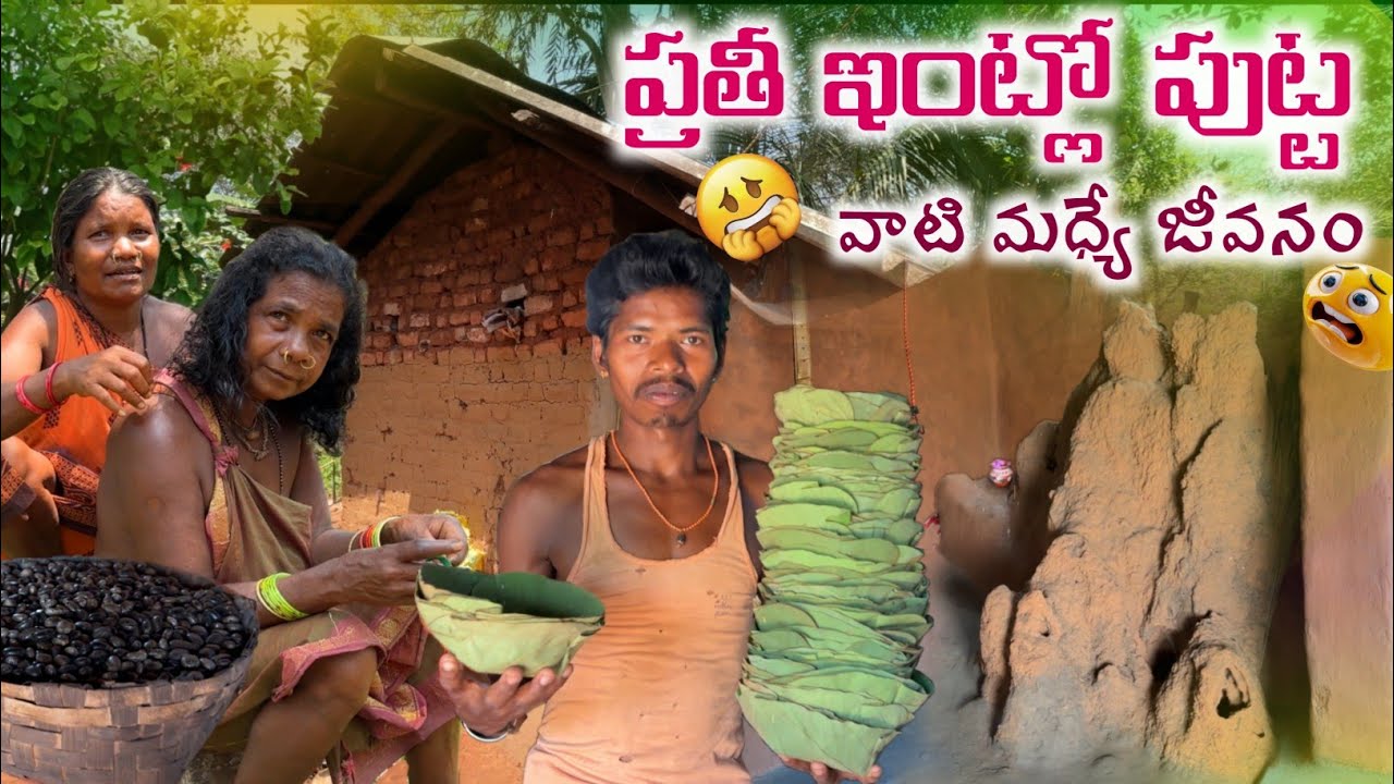 పుట్టల మద్యే అడవిబిడ్డల జీవనం/Anthill Dwellings:The Hidden World of ForestTribes@TribalMirror