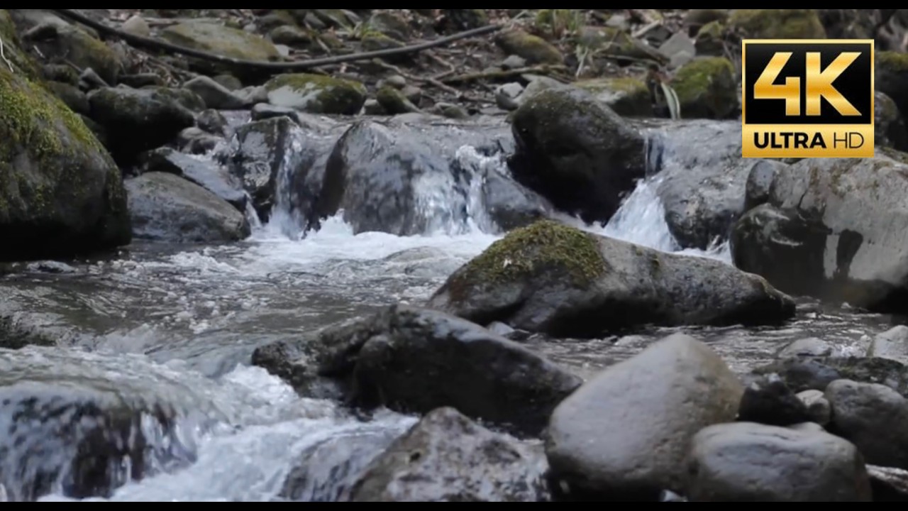 Stormy Mountain River: Relax Music: Walk in the Forest: Mountain Views 4K