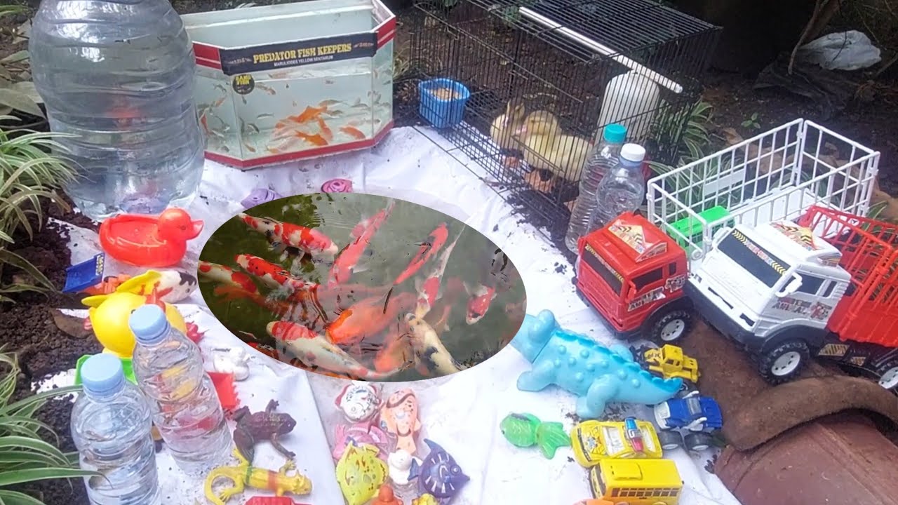 Fishing fish toy koi fish decorative fish cleaning toys playing mud