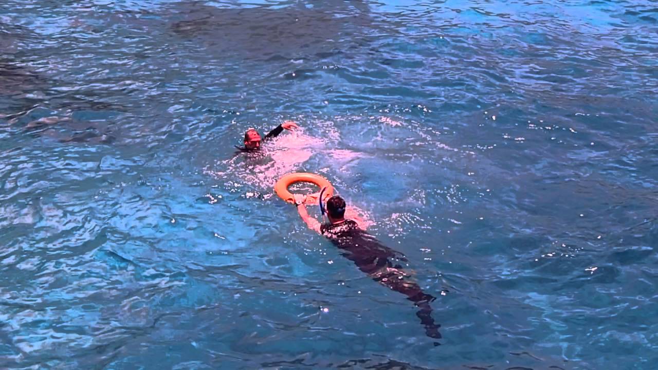 All4Diving rescue diver open water - YouTube