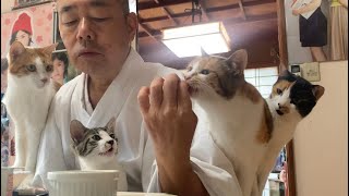 長楽寺の日常　何もない朝。