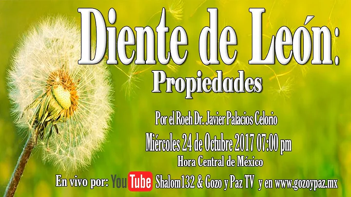 Diente de Len: propiedades por el Roeh Dr. Javier ...