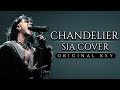Sia  chandelier  cover male version original key  cover by corvyx