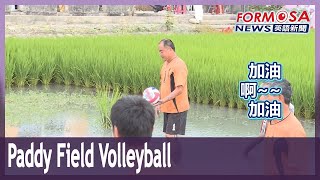 Changhua farmers win fame for a volleyball tournament in the paddy fields｜Taiwan News