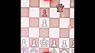 BongCloud Opening Gone Wrong [IB: @forque_chess]