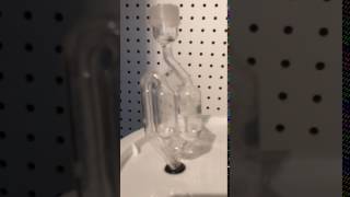IMG 6872 2