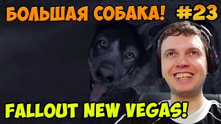 Мульт Папич играет в Fallout New Vegas Большая собака 23