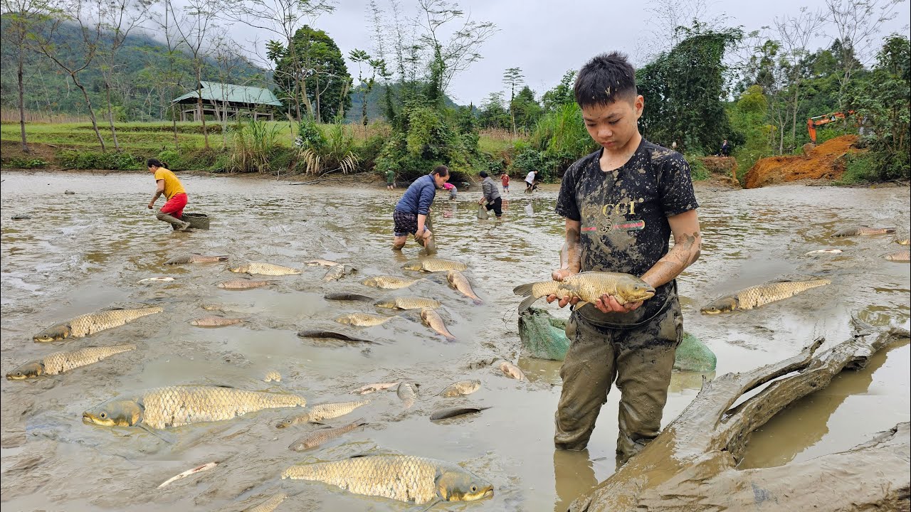Full video orphan boy catches fish picks fruit brings electricity to