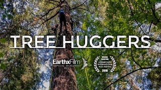 Tree Huggers - 360 Tree Climbing Experience