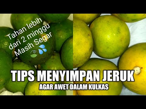 Video: Cara Menyimpan Jeruk