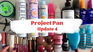 Project Pan Update 4 — End of Year Goals