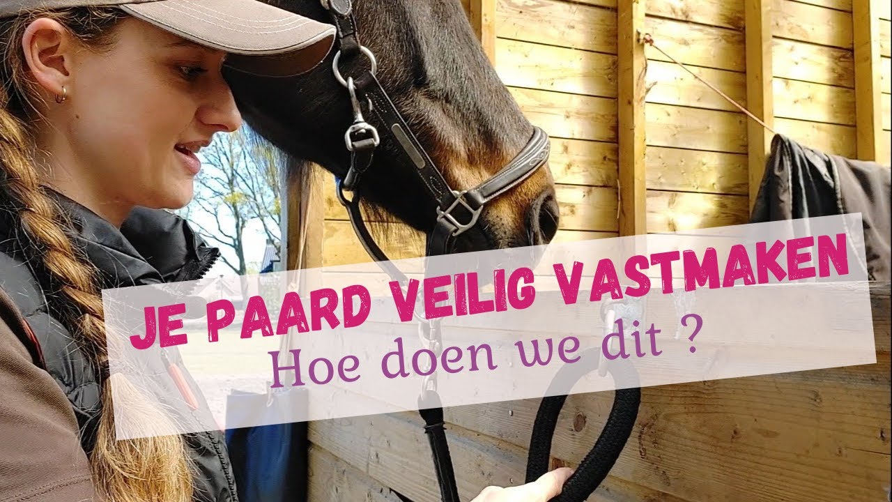 HOE ZETTEN WE VEILIG ONS PAARD VAST? WAT IS EEN PAARDENKNOOP - EN HOE MAKEN WE DE KNOOP?