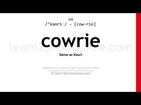 Video: Cowrie Shellsди кантип коркутууга болот: 10 кадам (сүрөттөр менен)