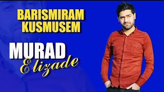 Murad Elizade - Barismiram Kusmusem | Azeri Music [OFFICIAL] Resimi