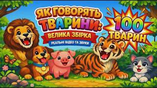 ЯК ГОВОРЯТЬ ТВАРИНИ: звуки та відео 100 тварин для дітей. Розвиваюче відео українською