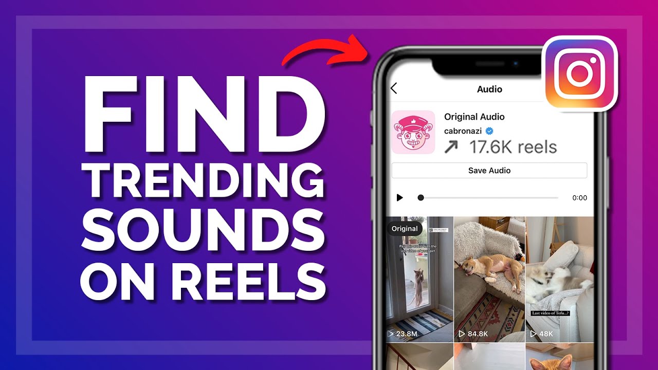 How to Find Trending Songs on Instagram Reels 