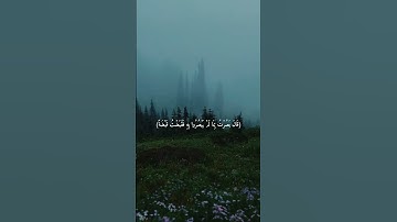 سورة طه || القارئ الشيخ بدر التركي #بدر_التركي #تلاوات_الحَرَم