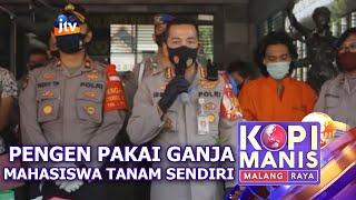 MAHASISWA ASAL LAMONGAN TANAM GANJA | JTV MALANG