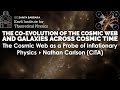 The Cosmic Web as a Probe of Inflationary Physics   ▸   Nathan Carlson (CITA)