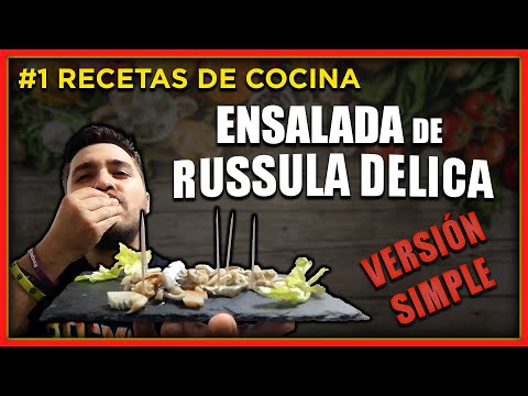 Video: Familia Russula. setas lácticas