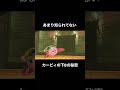 【走馬灯】カービィの下Bの秘密#走馬灯