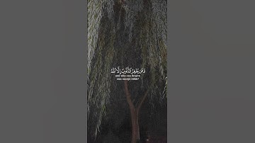 قران كريم راحة نفسية غذاء الروح ♥️ #like #اكسبلور #explore #تابعوني #لايك #راحة_نفسية
