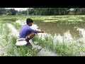 Amazing Village By Hook Fishing - Traditional Hook Fishing - Village Daily Life (Part-335)