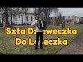 Szła Dzieweczka Do Laseczka - akordeon