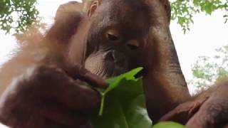 In Honor of our Earth | Earth Day 2019