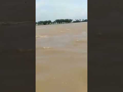 Video: Adakah panorama kampung banjir?