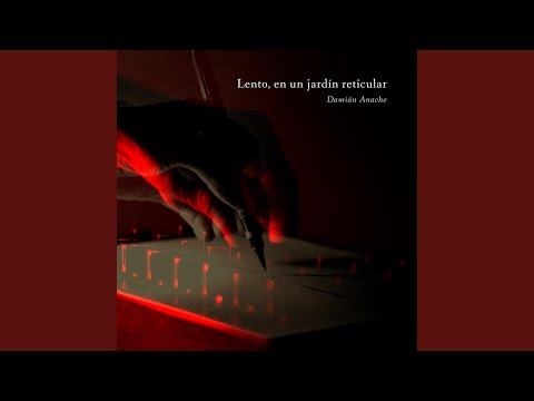 Damian Anache — Drishti