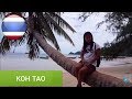 RELAXING KOH TAO THAILAND DJI OSMO