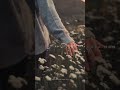 Jo Tum Mere Ho - Anuv jain Asthetics Status " Slowed + Reverb || #aesthetic #shorts #slowedandreverb