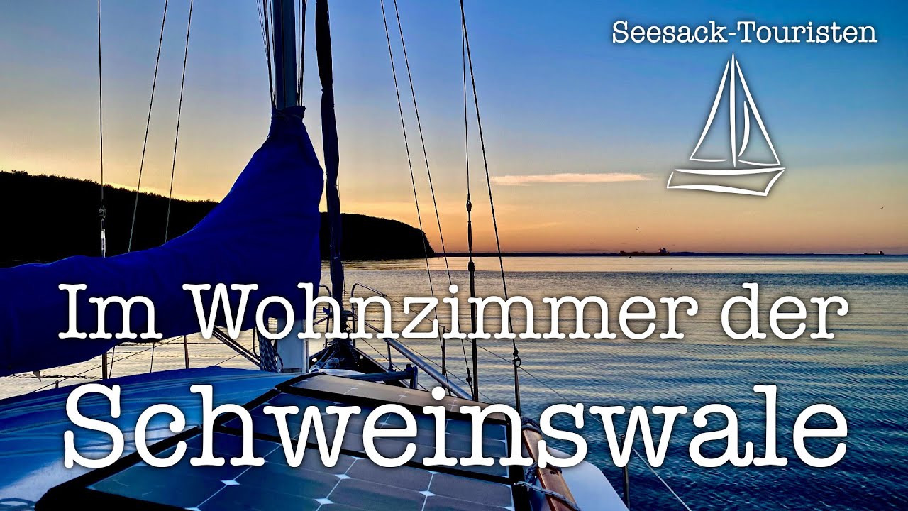 Ankern im Wohnzimmer der Schweinswale - Rund Fünen 2020