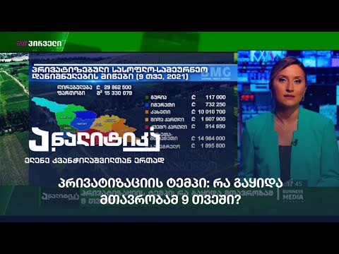 პრივატიზაციის ტემპი: რა გაყიდა მთავრობამ 9 თვეში?