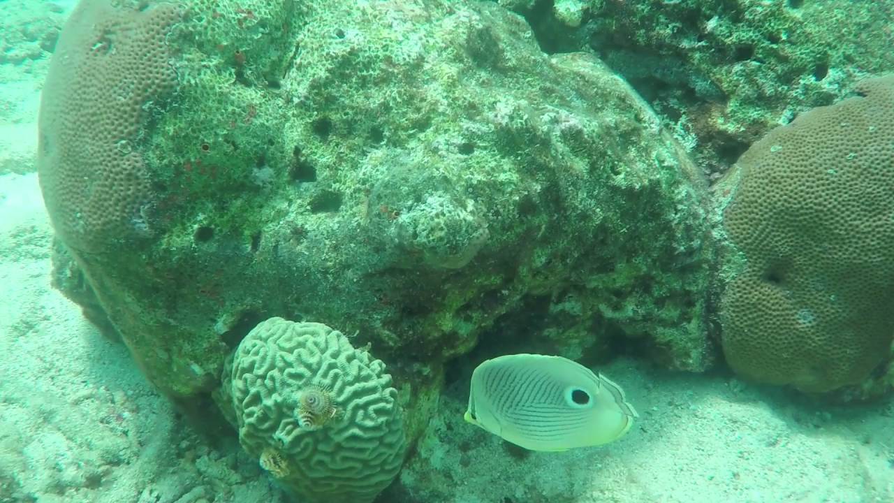 SeaTrek Curacao Underwater Helmet Diving YouTube