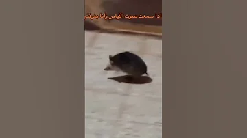 افتح الطريق يبنى علشان مبشوفش قدامى 