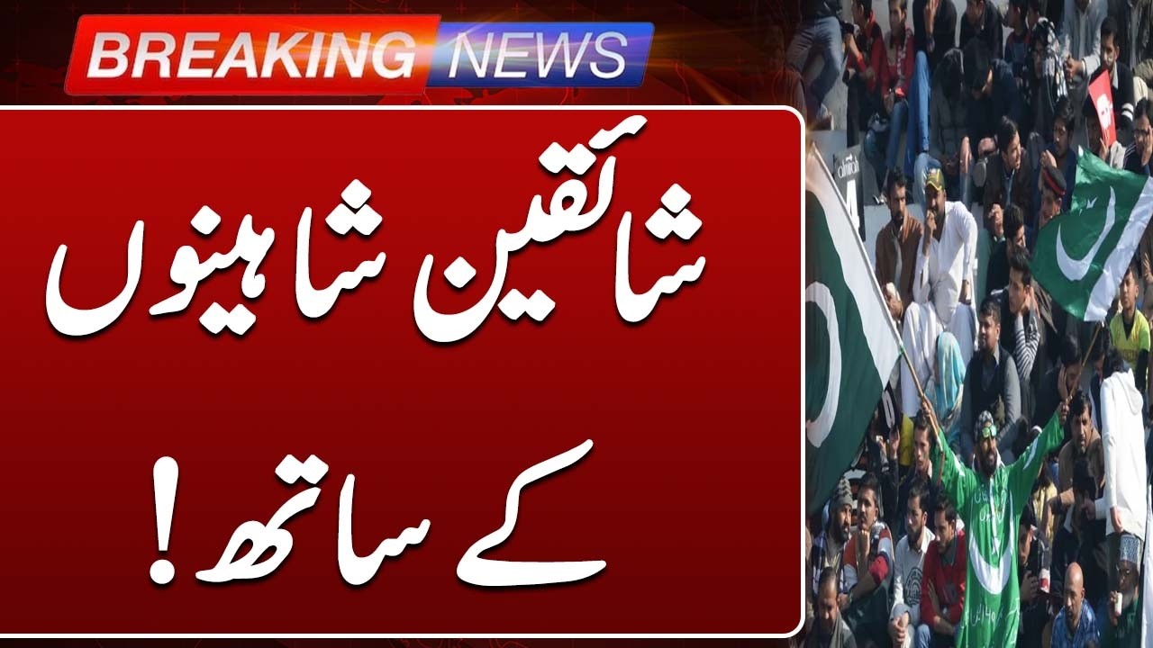 Pak India Mega Match Today | Cricket Fever Grips Peshawar | Such News