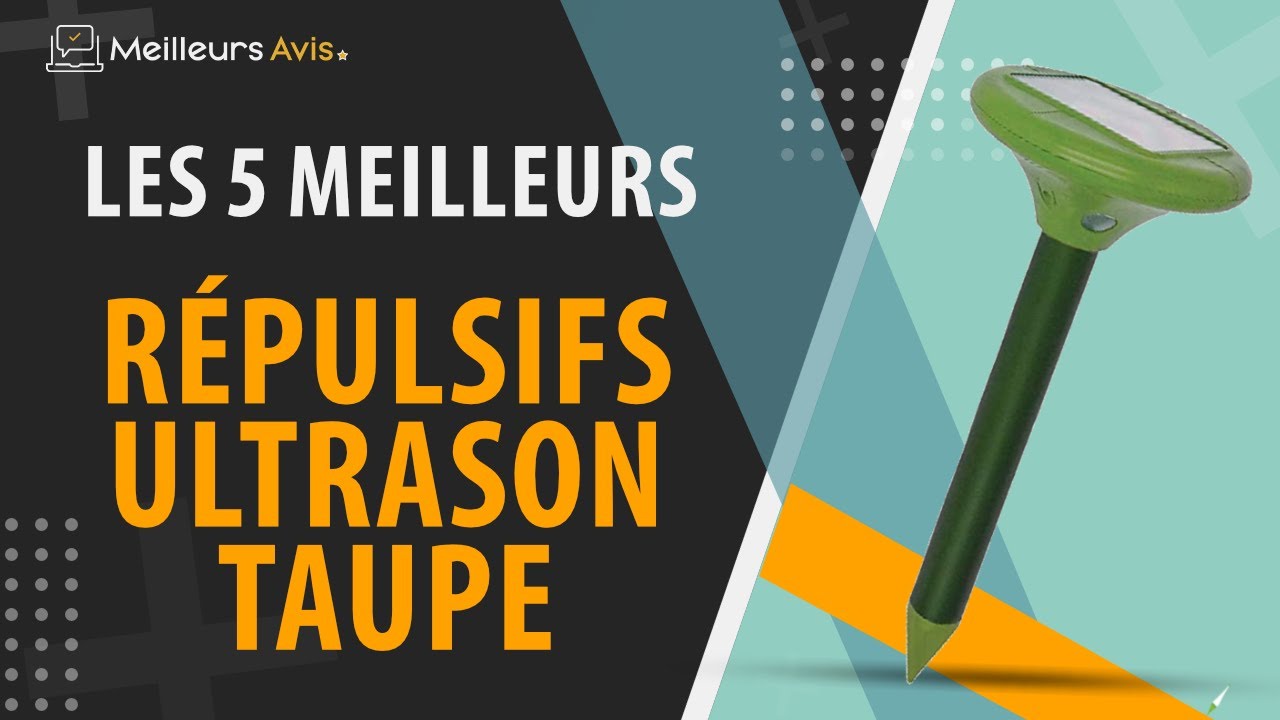 ⭐️ MEILLEUR RÉPULSIF ULTRASON TAUPE - Avis & Guide d'achat (Comparatif  2023) 