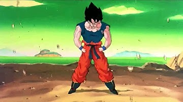 Goku vs Frieza Time of Dying