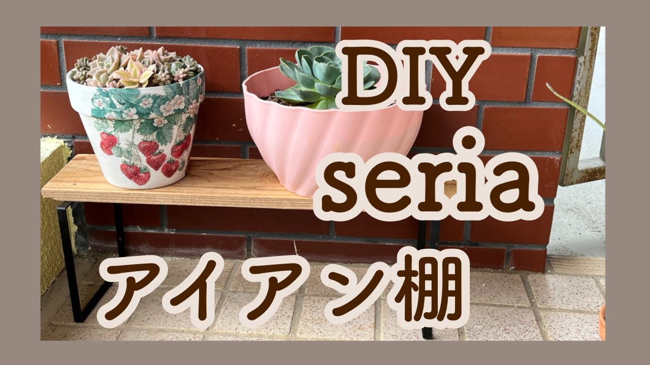 多肉植物】 100均アイアンで簡単だハズ😅 #diy #ガーデニング #100均