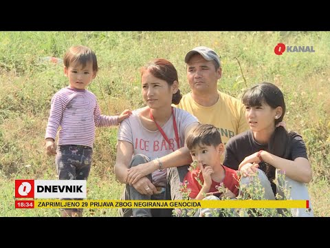 Video: Paška Samo Grize Laktove: Muceniece U Mokrom Kupaćem Kostimu Namočenom U Bazenu