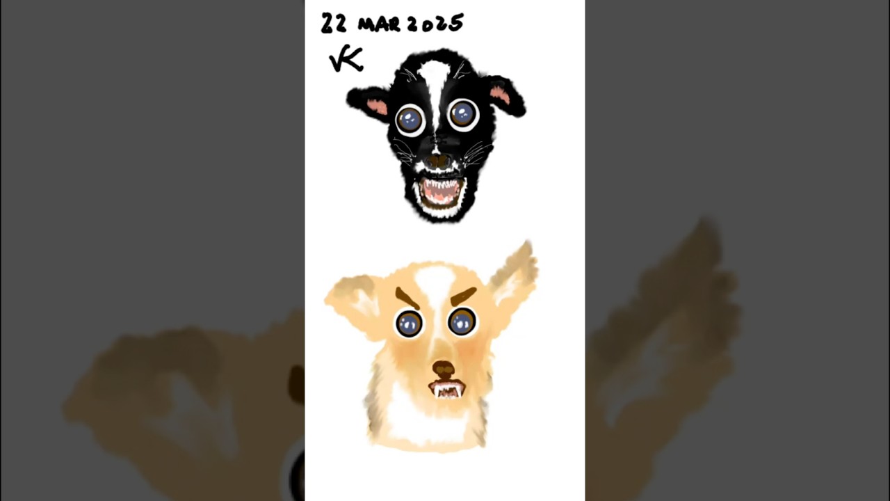 Angry Chihuahuas