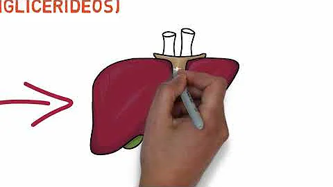 Como a hipertensão arterial pode comprometer a função renal fisiologicamente?
